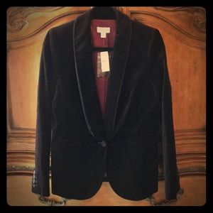 Brown velvet blazer - Ann Taylor LOFT (NWT)